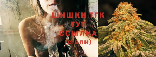 spice Чекалин