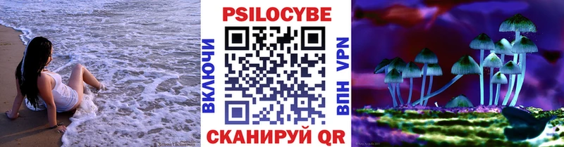 Галлюциногенные грибы Psilocybe  сколько стоит  Курильск 
